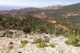 East fork red canyon [sun aug 31 13:51:27 mdt 2025]